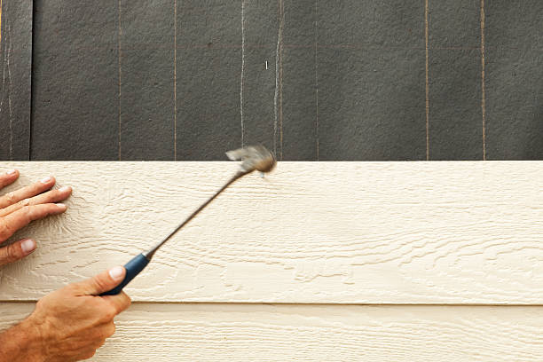 Best Steel Siding Installation  in Saline, MI